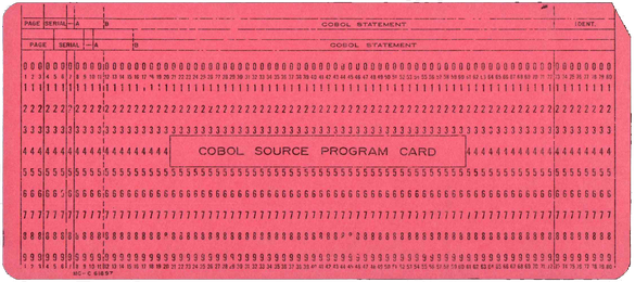 COBOL Source Program Card - Pink