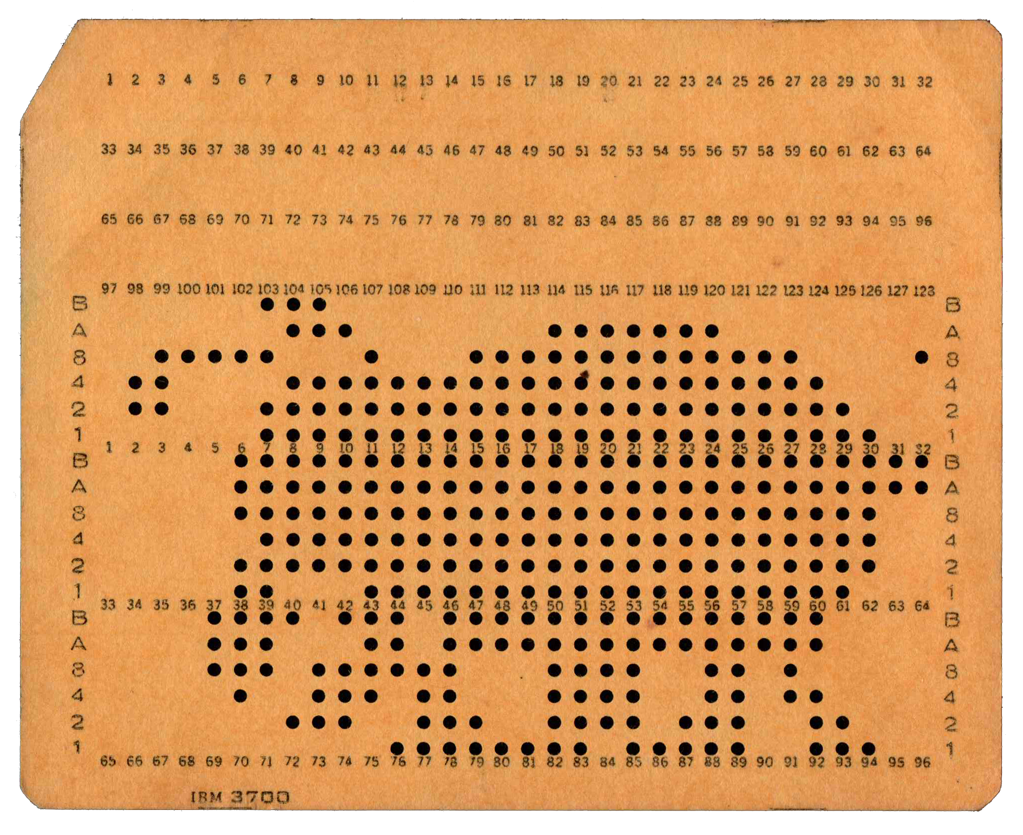 Front of punched card - Punched with a novelty image of a bug