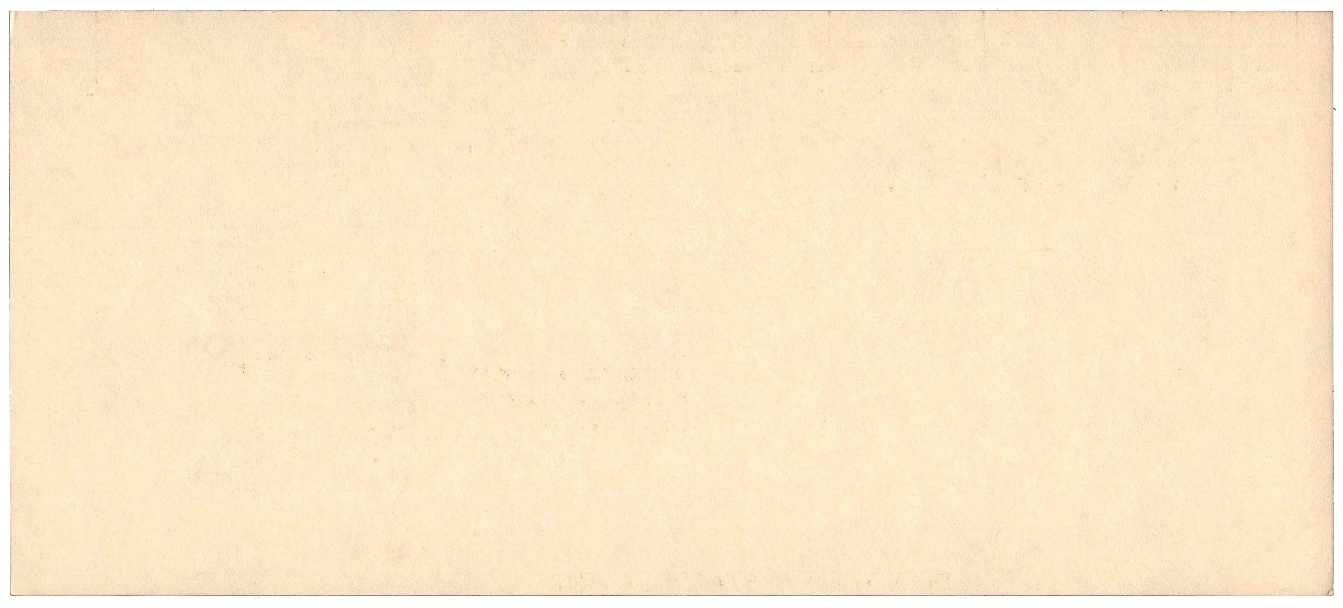 Back of an unpunched card