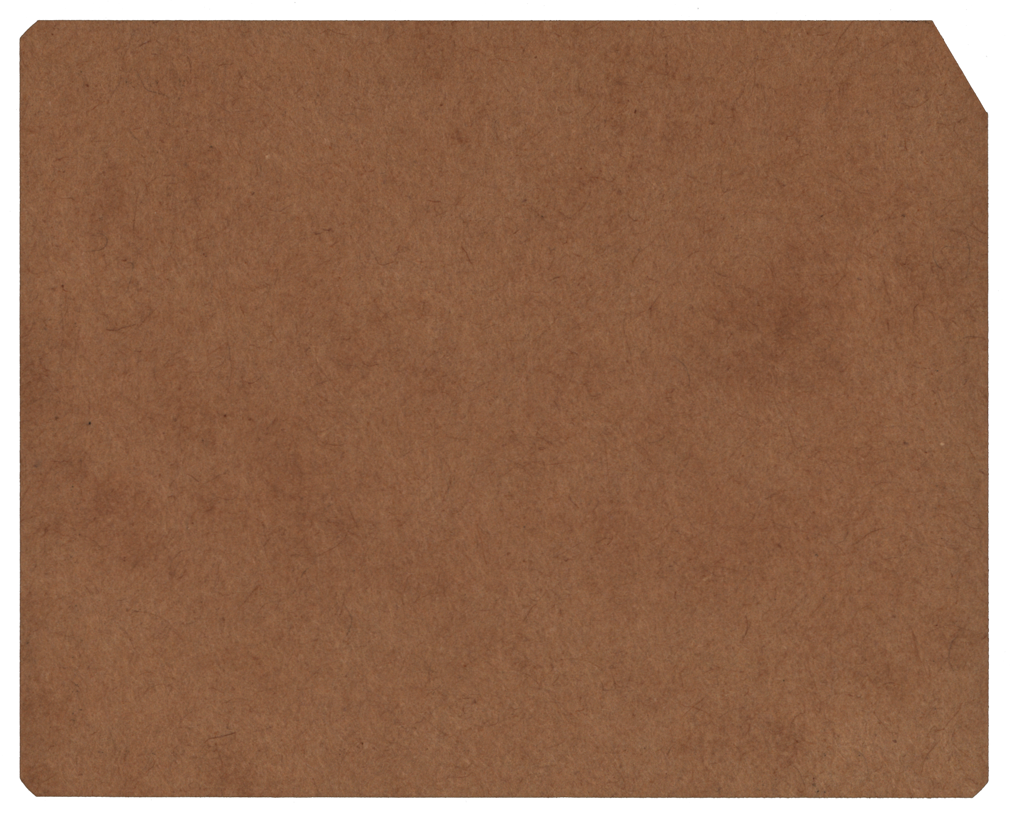 Back of an unpunched card